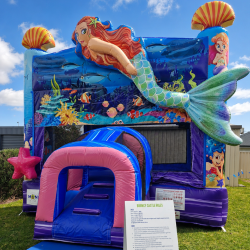 Mermaid Misting Castle